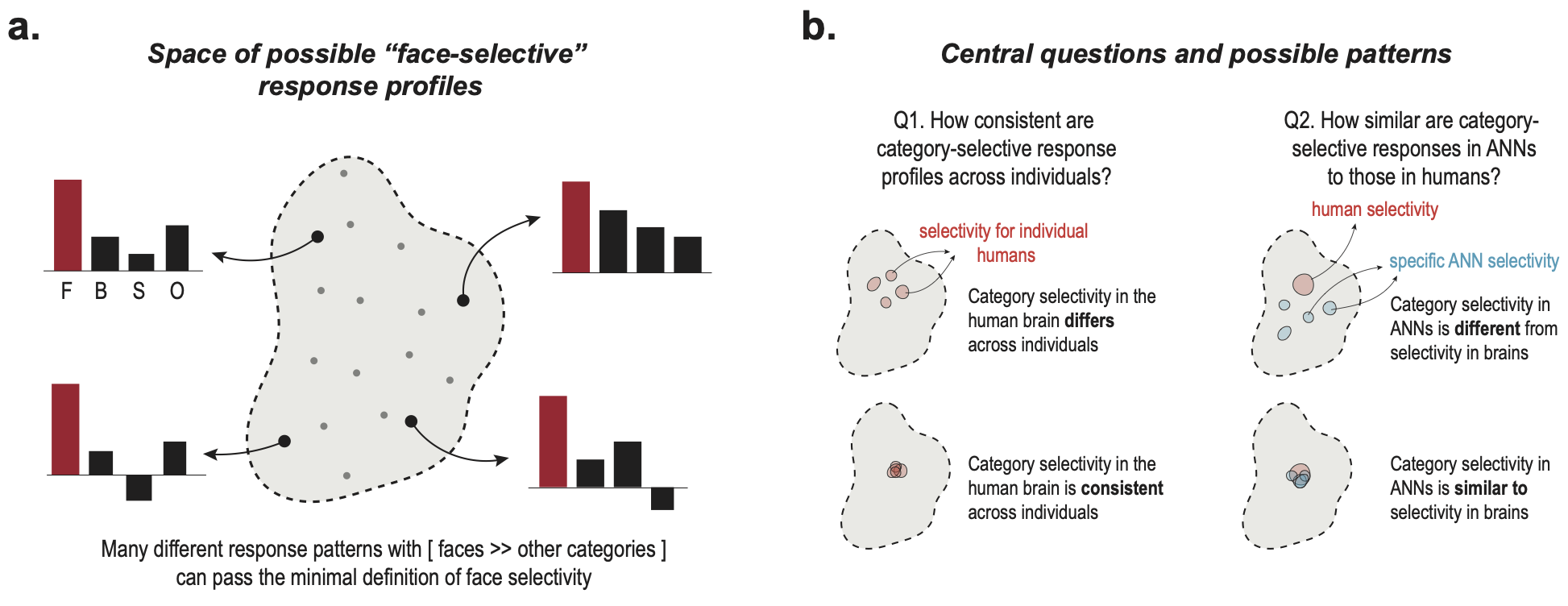 Figure 1: Conceptual framework and experimental design