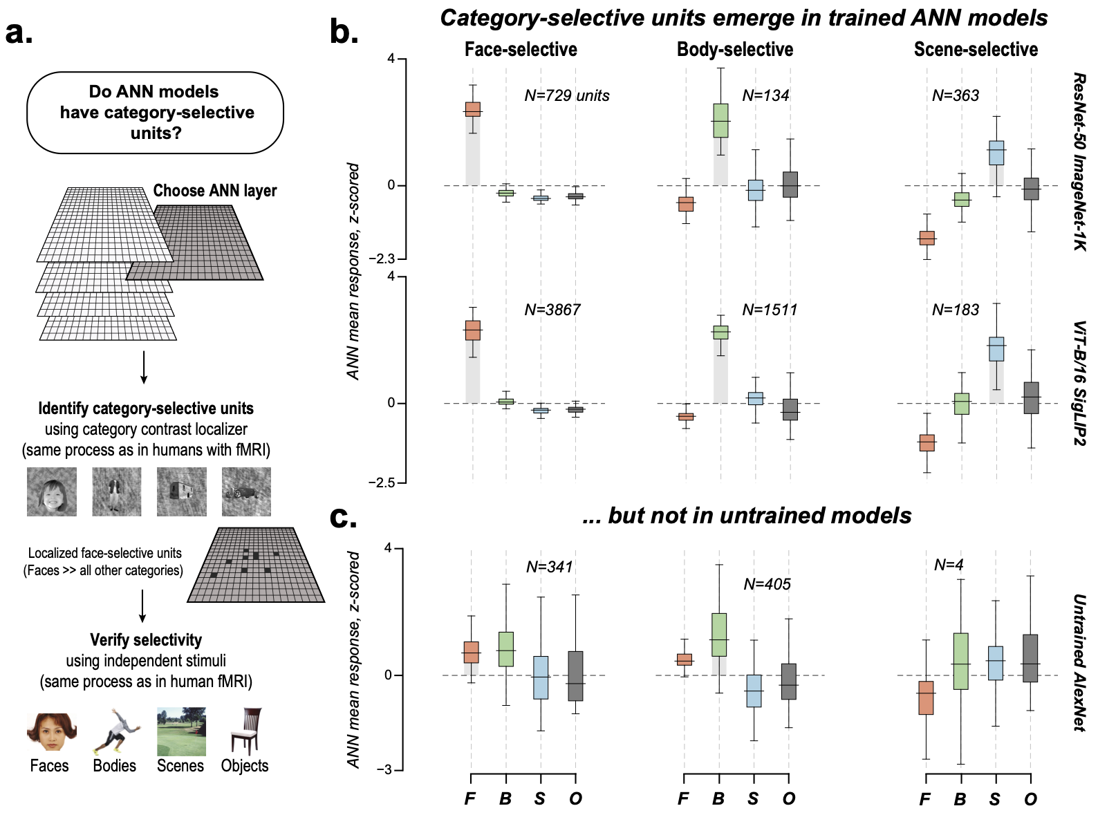 Figure 2: Category-selective units in trained vs. untrained ANNs