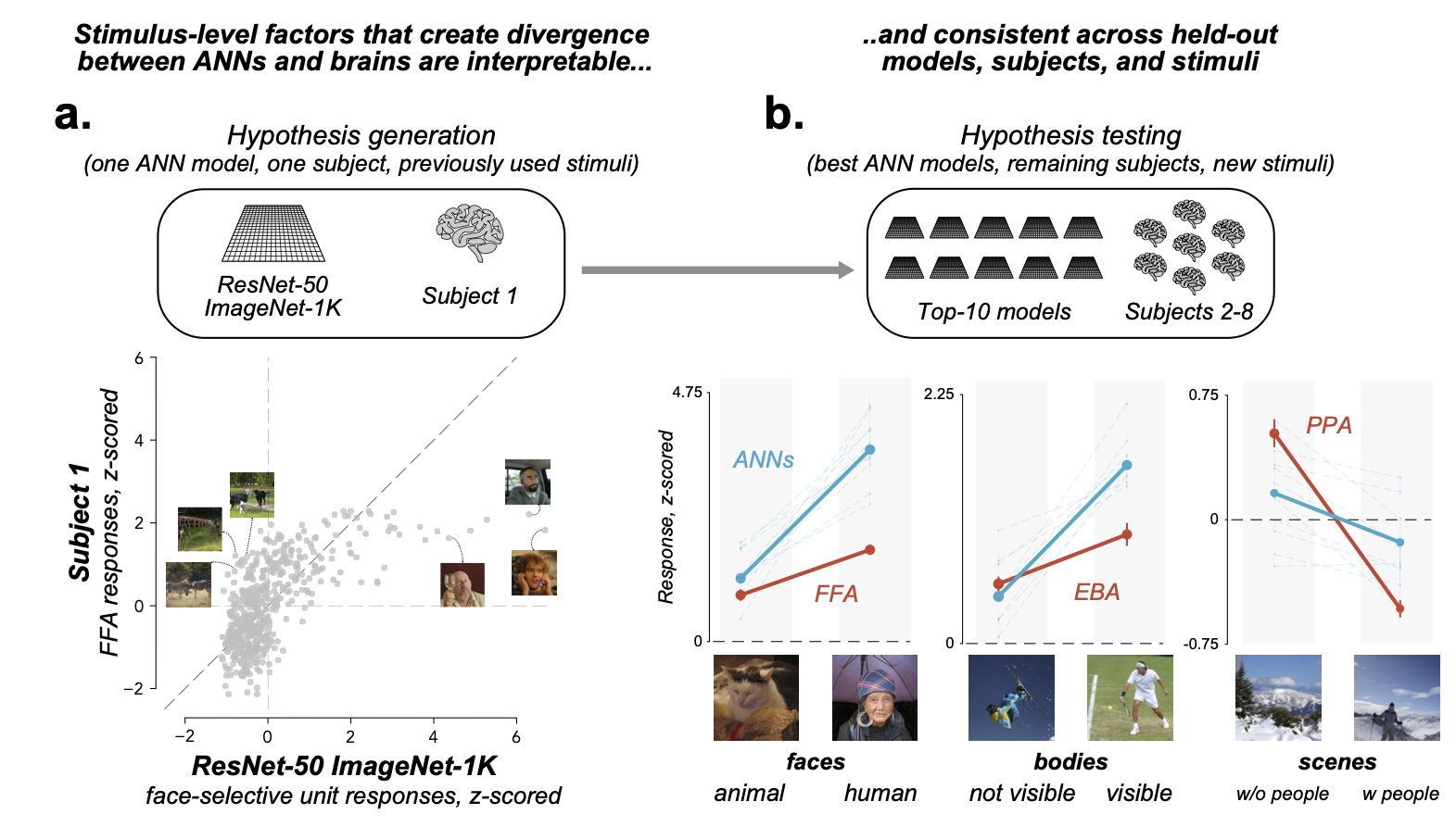 Figure 6: Stimulus-driven divergences are systematic and interpretable